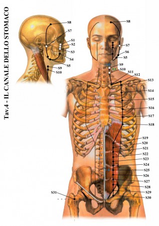 (immagini tratte da www.kyusho.it)